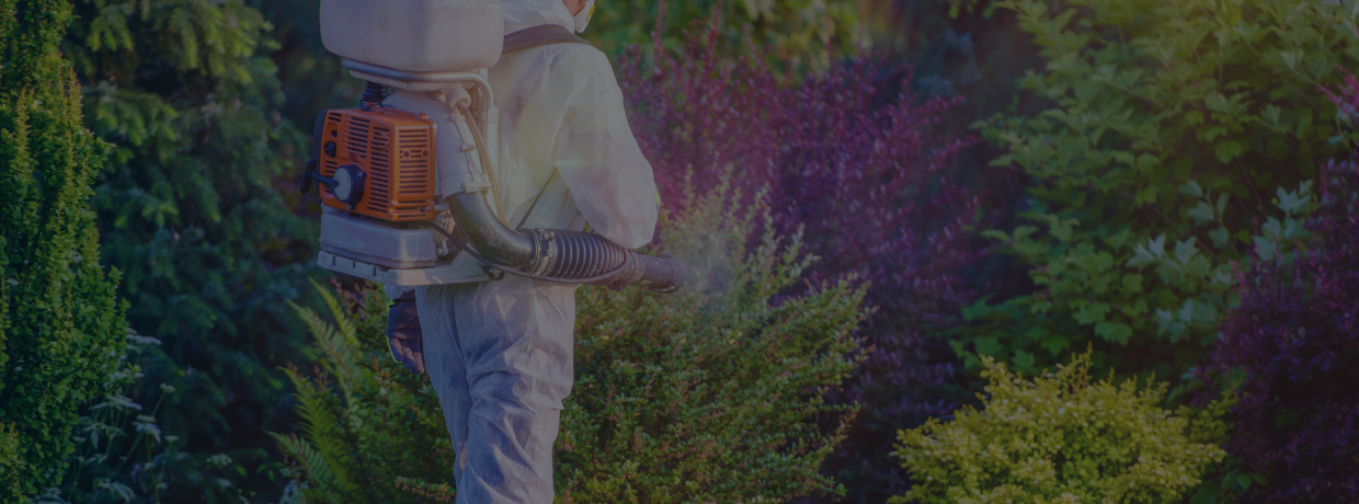  Attracting High-Value Leads for Pest Control Companies: 5 Simple Marketing Strategies That are the Bee’s Knees