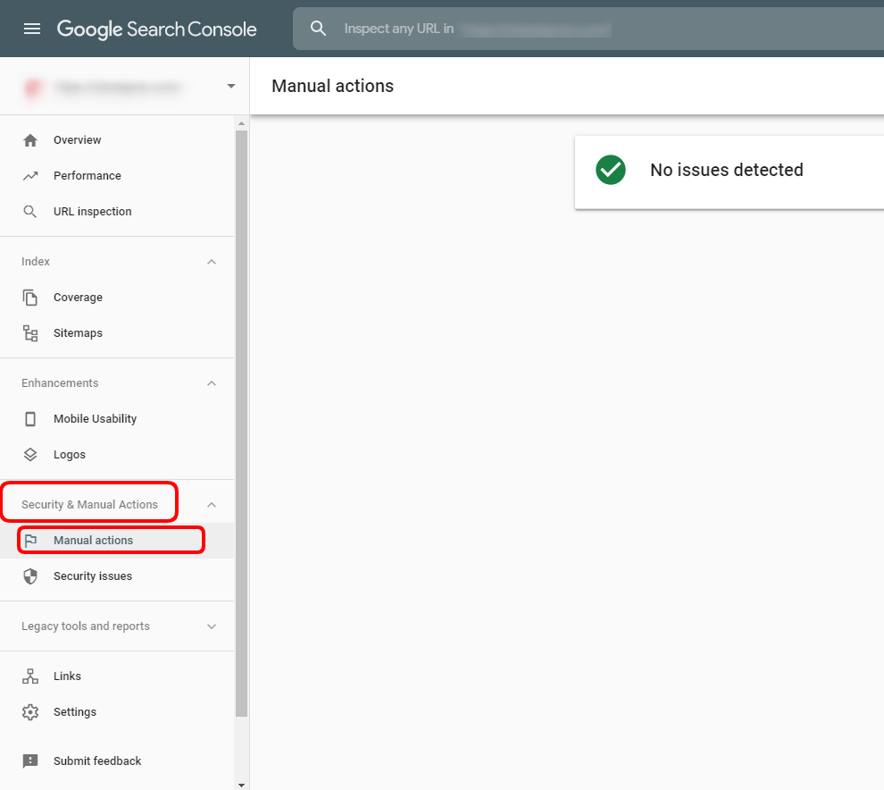 Manual Actions identified within Google Search Console dashboard